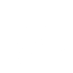 icon progression